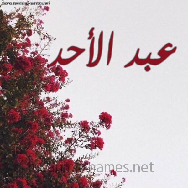 شكل 18 صوره الورد الأحمر للإسم بخط رقعة صورة اسم عبد الأحد ABD-ALAHD